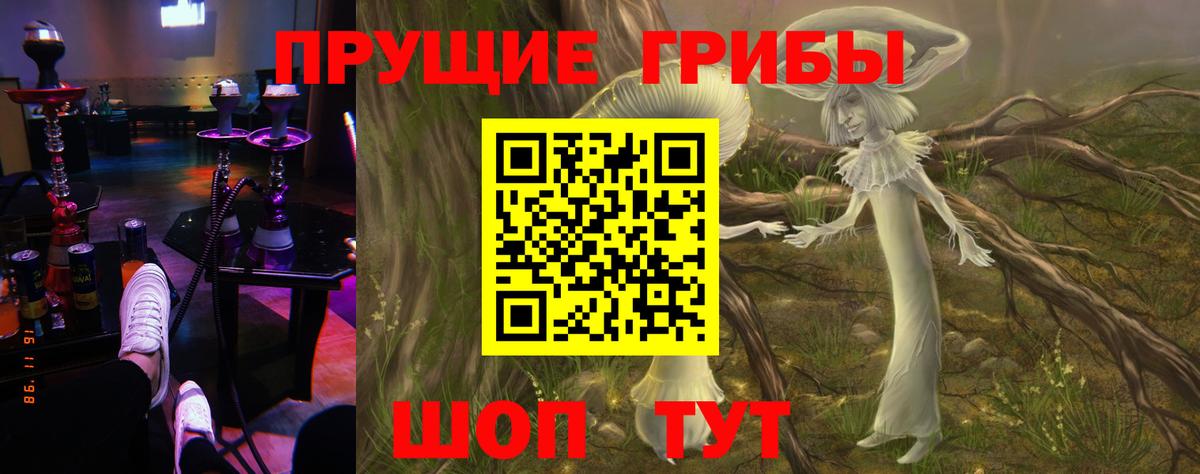 Псилоцибиновые грибы прущие грибы  Вход с VPN  Кизилюрт  Псилоцибиновые грибы ЛСД 